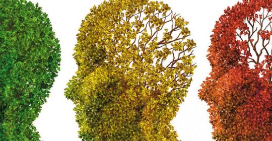 O que é o Alzheimer dentro do cérebro