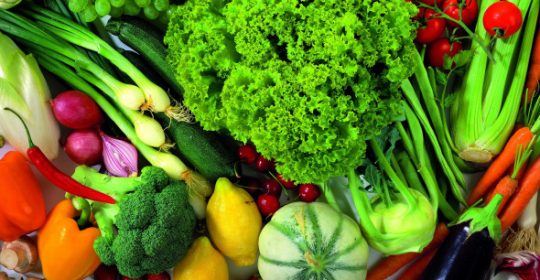 Folhas e verduras: aliados da boa memória